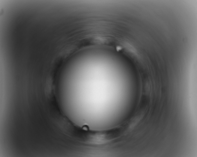 X0000088920318200706151929
