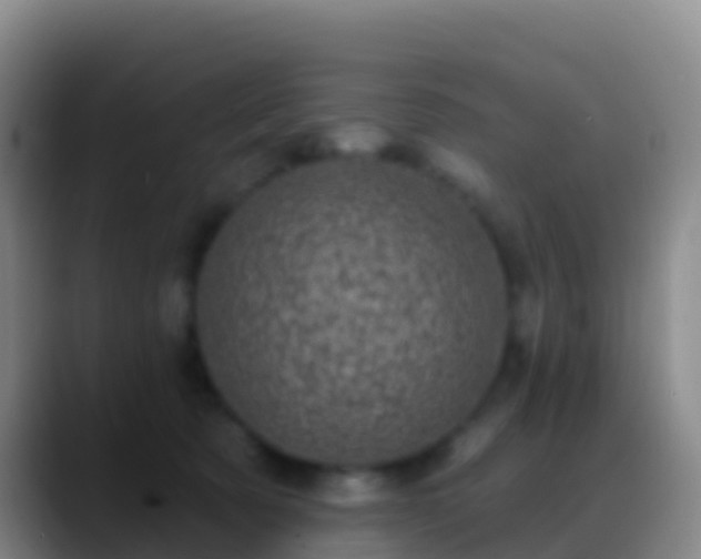 X0000088920321200706151929