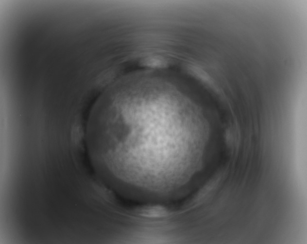 X0000088920322200706151929