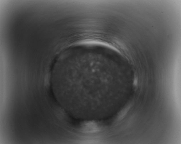 X0000088920325200706151929