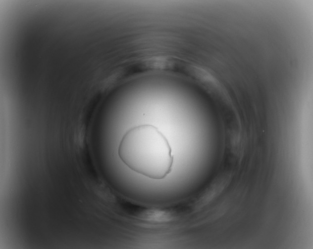 X0000088920326200706151929