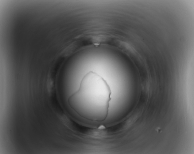X0000088920327200706151929