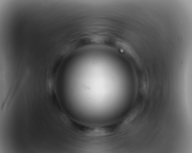 X0000088920329200706151929