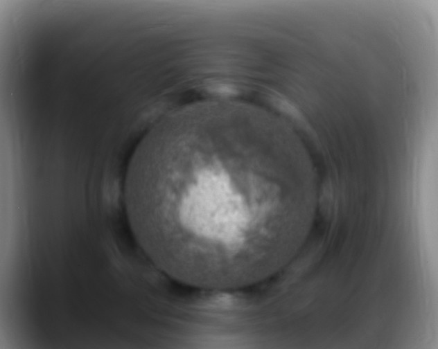 X0000088920330200706151929