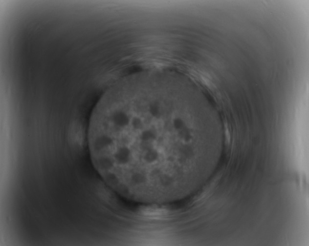 X0000088920331200706151929
