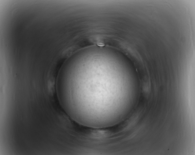 X0000088920332200706151929