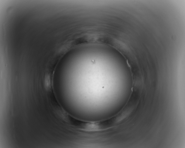 X0000088920335200706151929