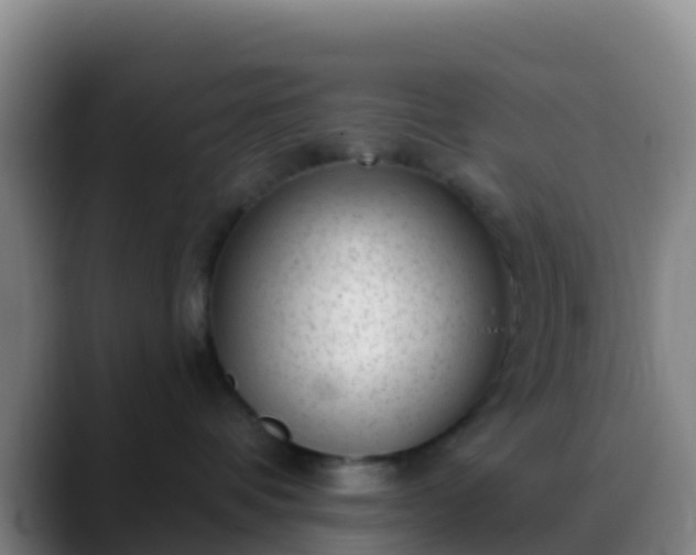 X0000088920336200706151929