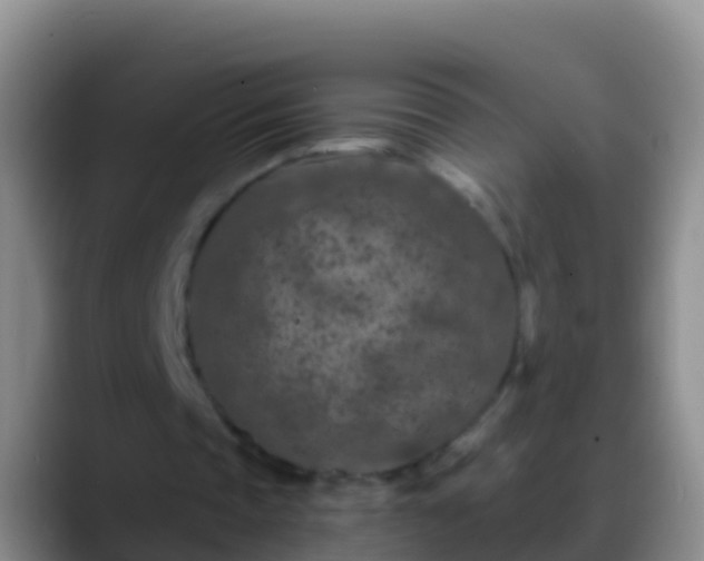 X0000088920337200706151928
