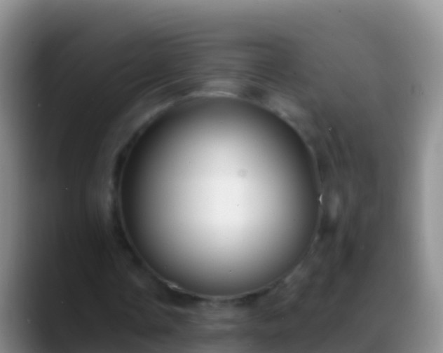 X0000088920338200706151928