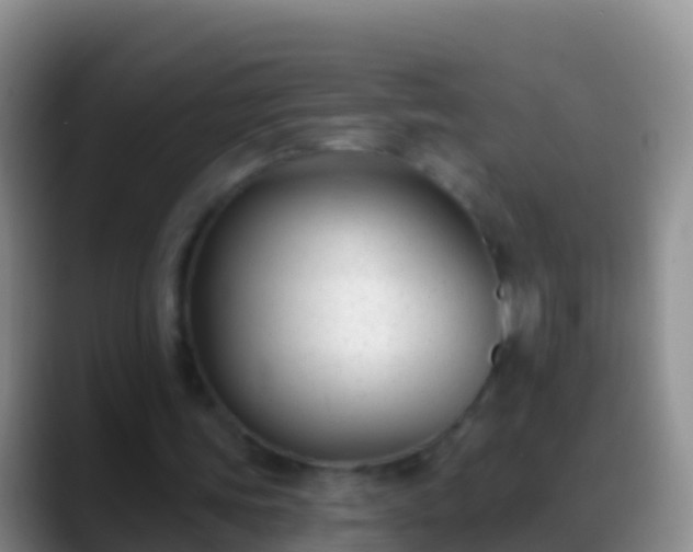 X0000088920339200706151928