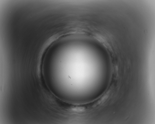 X0000088920340200706151928