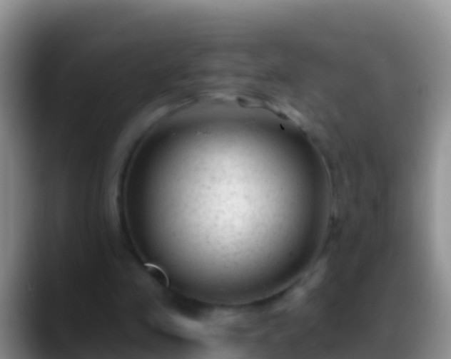 X0000088920341200706151928