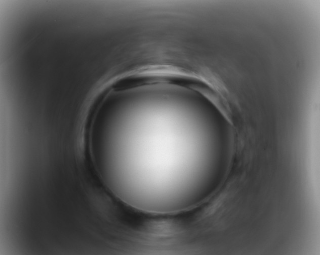 X0000088920344200706151928