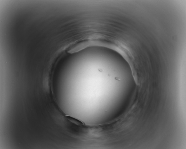 X0000088920345200706151928