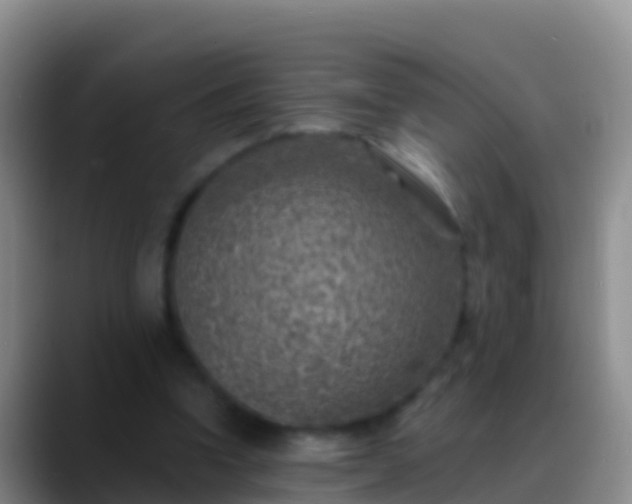 X0000088920346200706151928
