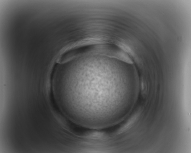 X0000088920348200706151928