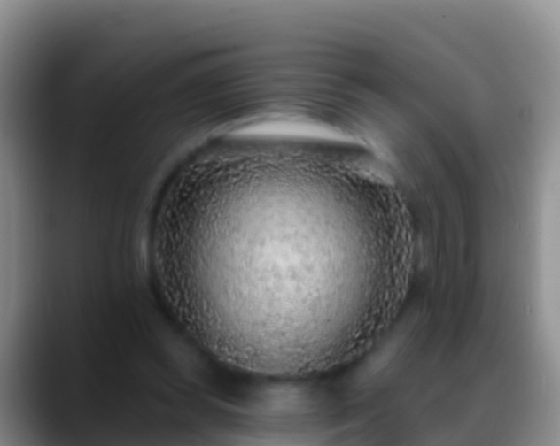 X0000088920349200706151928