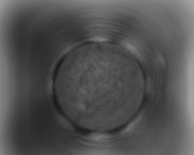 X0000088920351200706151928