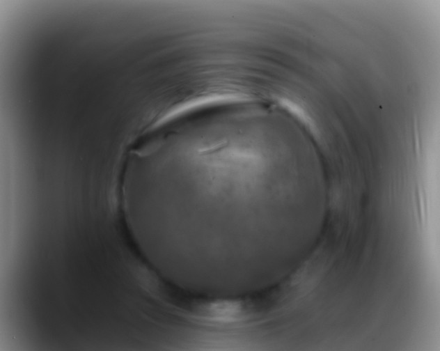 X0000088920353200706151928