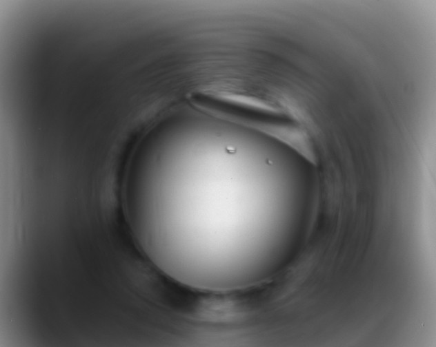 X0000088920354200706151928