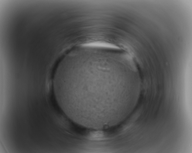 X0000088920355200706151928
