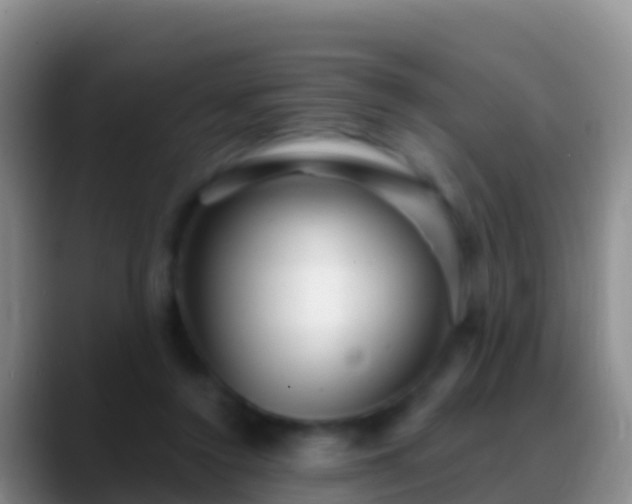X0000088920356200706151928