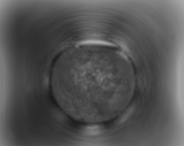 X0000088920357200706151929