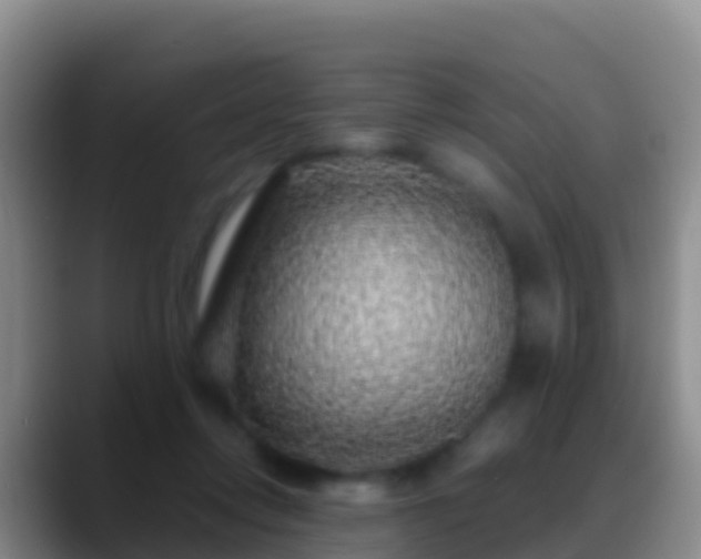X0000088920358200706151929