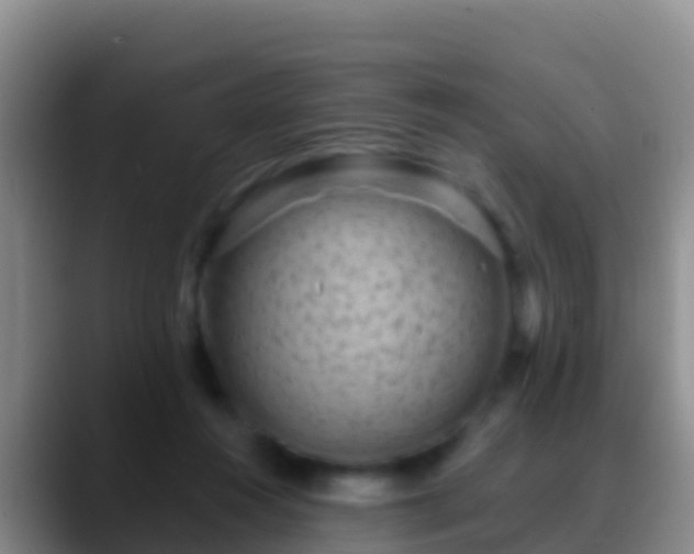 X0000088920360200706151929