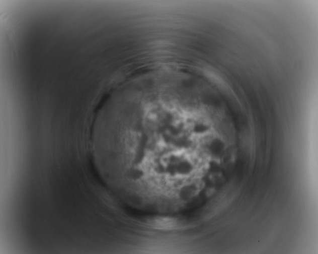 X0000088920361200706151929
