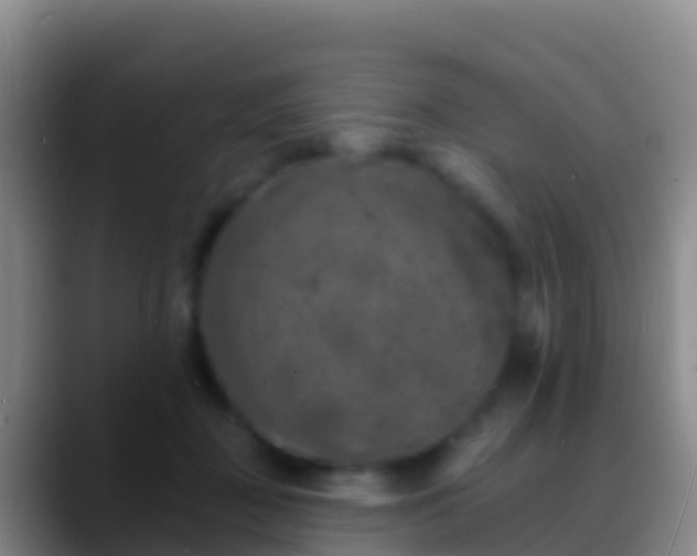 X0000088920363200706151929