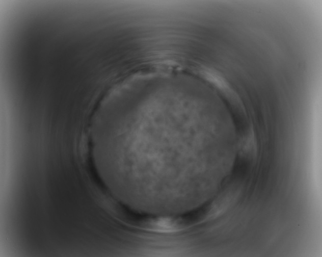 X0000088920365200706151929