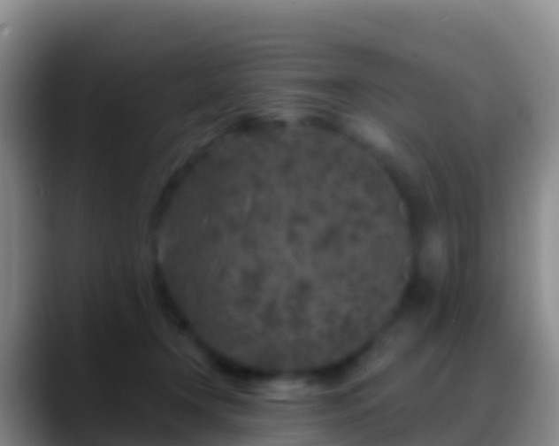 X0000088920366200706151929