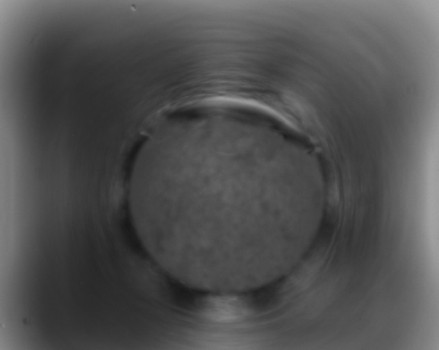 X0000088920367200706151929