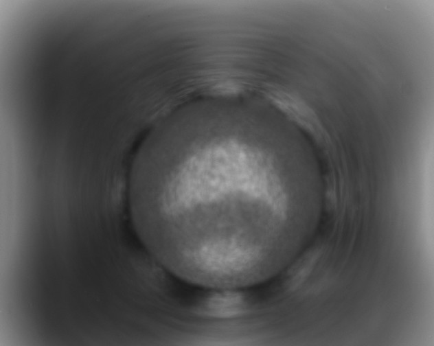 X0000088920369200706151929