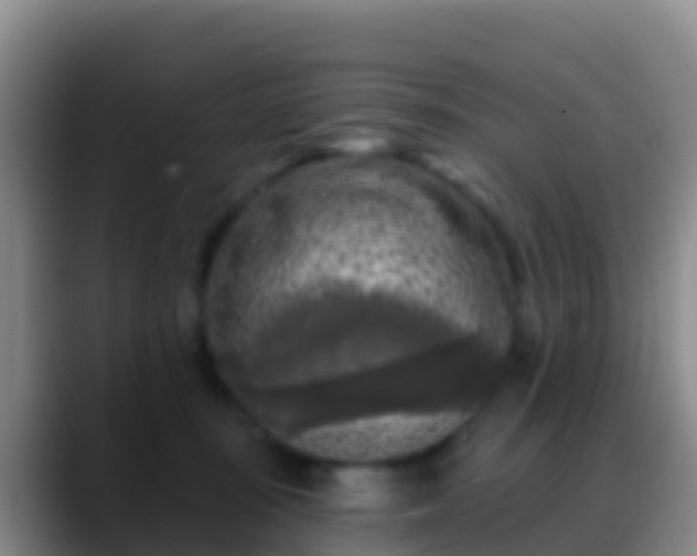 X0000088920371200706151929