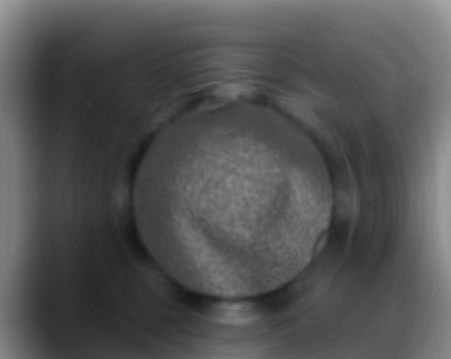 X0000088920375200706151929