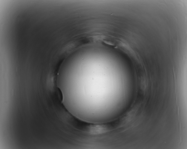 X0000088920378200706151929