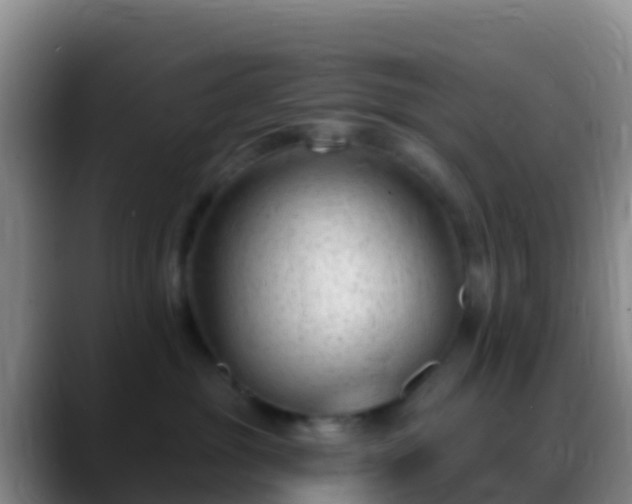 X0000088920381200706151929