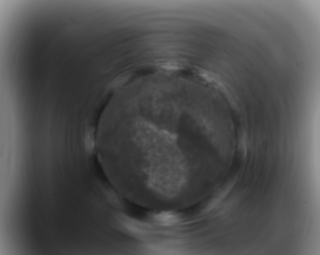 X0000088920383200706151929