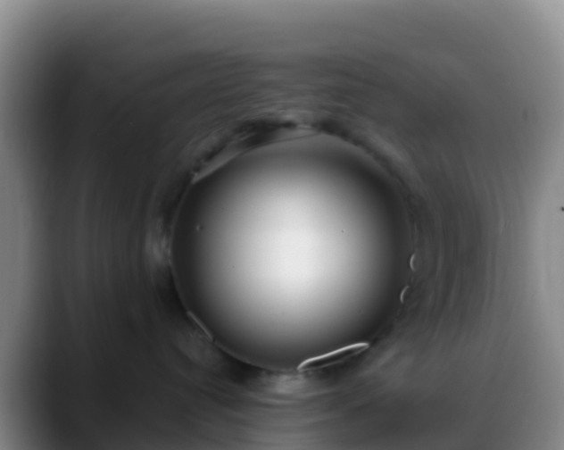 X0000088920384200706151929