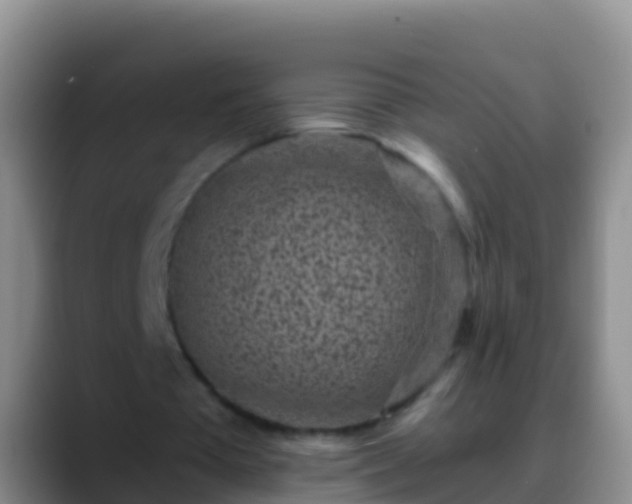 X0000088920385200706151928