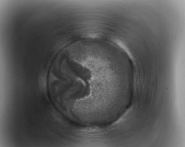 X0000088920386200706151928