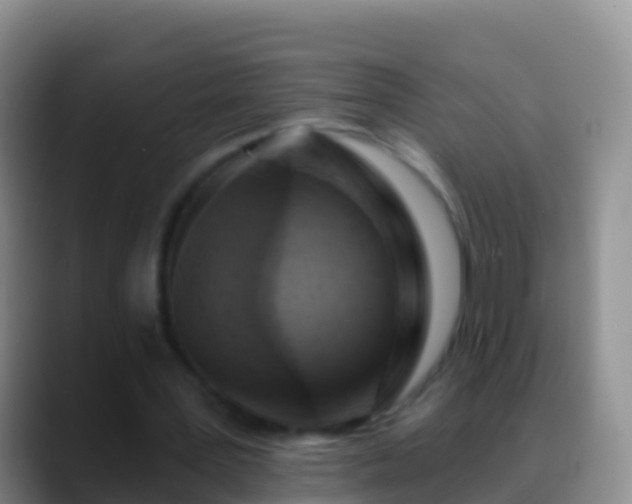 X0000088920387200706151928