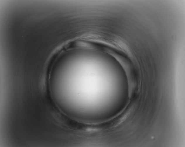 X0000088920388200706151928