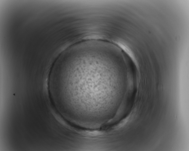 X0000088920389200706151928