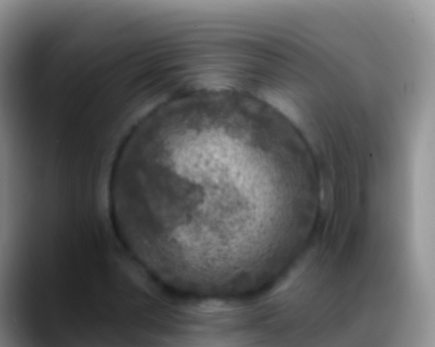 X0000088920390200706151928