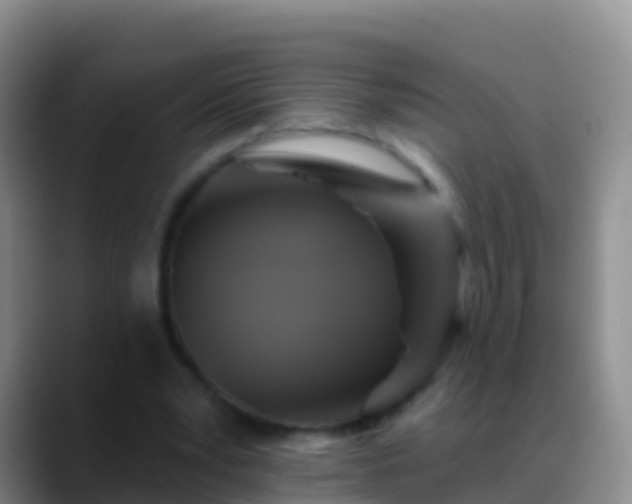 X0000088920391200706151928