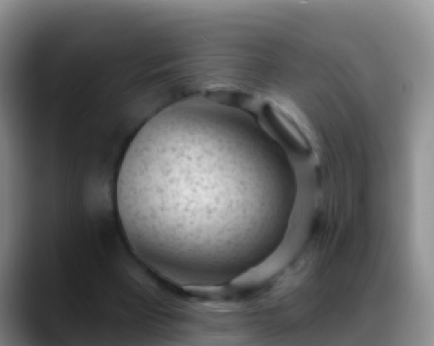 X0000088920393200706151928